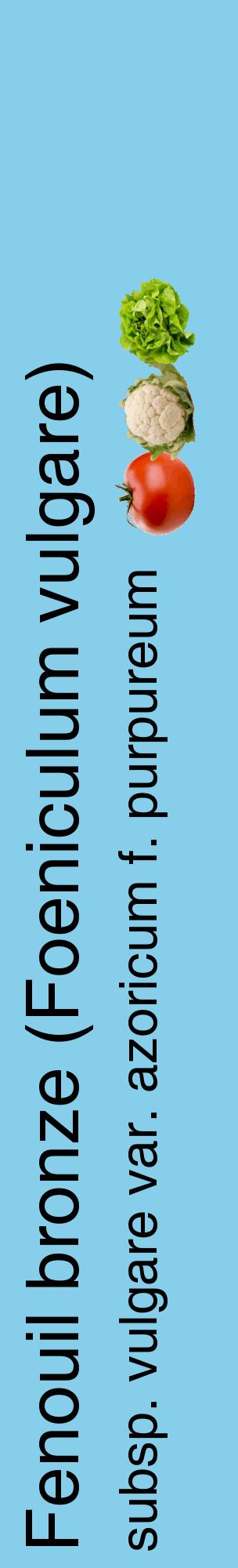 Étiquette de : Foeniculum vulgare subsp. vulgare var. azoricum f. purpureum - format c - style noire1_basiquehel avec comestibilité simplifiée