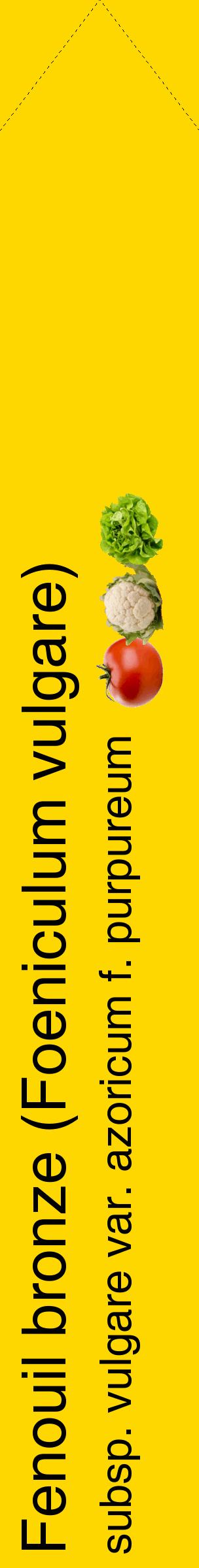 Étiquette de : Foeniculum vulgare subsp. vulgare var. azoricum f. purpureum - format c - style noire21_simplehel avec comestibilité simplifiée