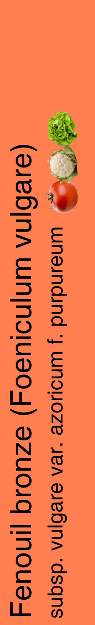 Étiquette de : Foeniculum vulgare subsp. vulgare var. azoricum f. purpureum - format c - style noire24_basiquehel avec comestibilité simplifiée