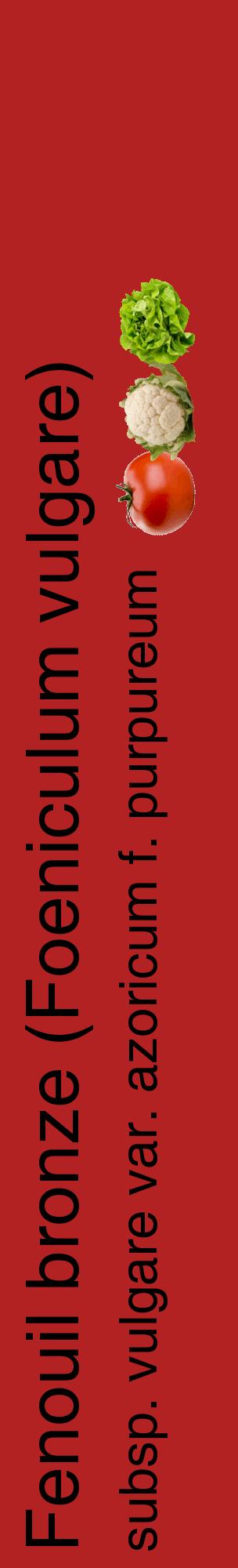 Étiquette de : Foeniculum vulgare subsp. vulgare var. azoricum f. purpureum - format c - style noire28_basiquehel avec comestibilité simplifiée