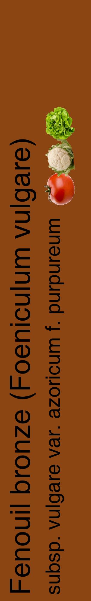 Étiquette de : Foeniculum vulgare subsp. vulgare var. azoricum f. purpureum - format c - style noire30_basiquehel avec comestibilité simplifiée