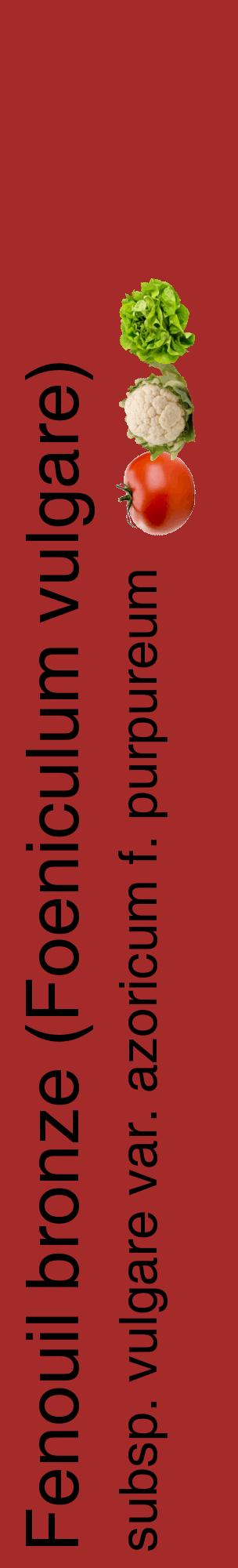 Étiquette de : Foeniculum vulgare subsp. vulgare var. azoricum f. purpureum - format c - style noire33_basiquehel avec comestibilité simplifiée