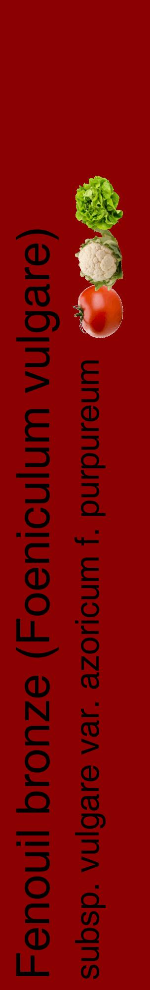 Étiquette de : Foeniculum vulgare subsp. vulgare var. azoricum f. purpureum - format c - style noire34_basiquehel avec comestibilité simplifiée