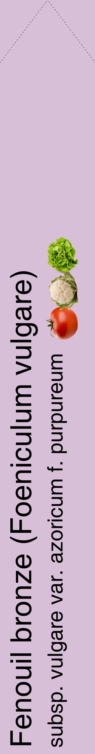 Étiquette de : Foeniculum vulgare subsp. vulgare var. azoricum f. purpureum - format c - style noire54_simplehel avec comestibilité simplifiée