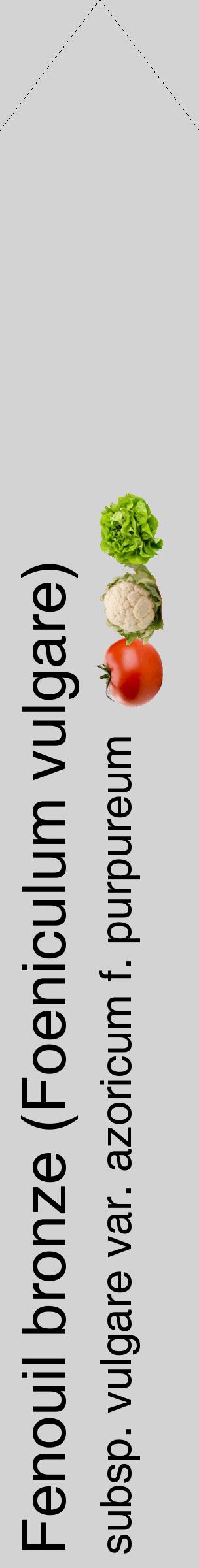 Étiquette de : Foeniculum vulgare subsp. vulgare var. azoricum f. purpureum - format c - style noire56_simplehel avec comestibilité simplifiée