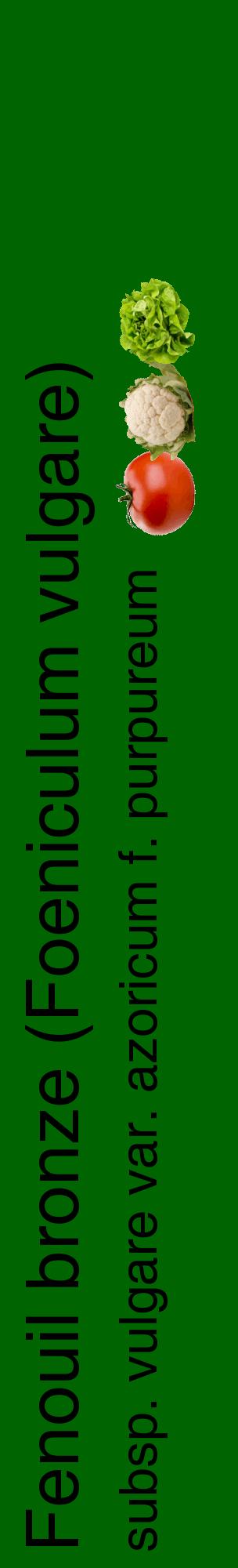 Étiquette de : Foeniculum vulgare subsp. vulgare var. azoricum f. purpureum - format c - style noire8_basiquehel avec comestibilité simplifiée