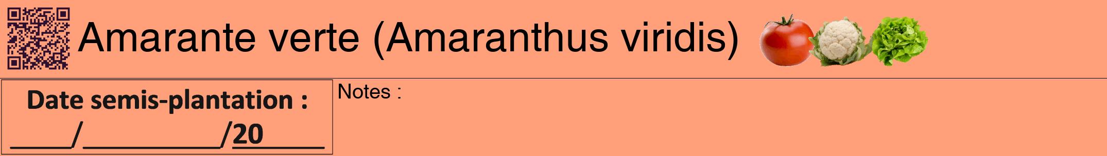 Étiquette de : Amaranthus viridis - format a - style noire39hel avec qrcode et comestibilité simplifiée