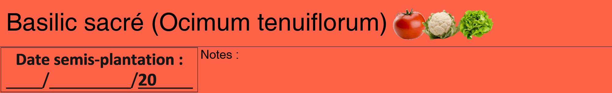 Étiquette de : Ocimum tenuiflorum - format a - style noire25hel avec comestibilité simplifiée
