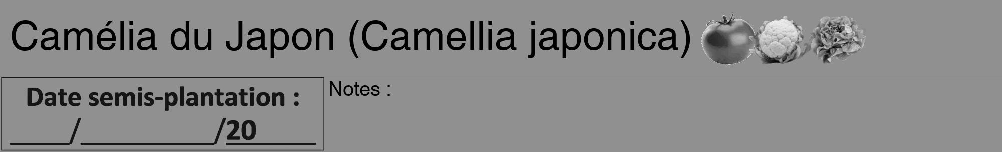 Étiquette de : Camellia japonica - format a - style noire4hel avec comestibilité simplifiée