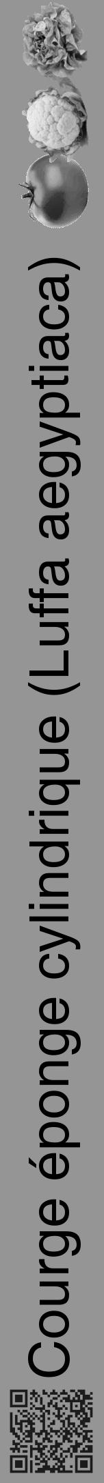 Étiquette de : Luffa aegyptiaca - format a - style noire16hel avec qrcode et comestibilité simplifiée - position verticale