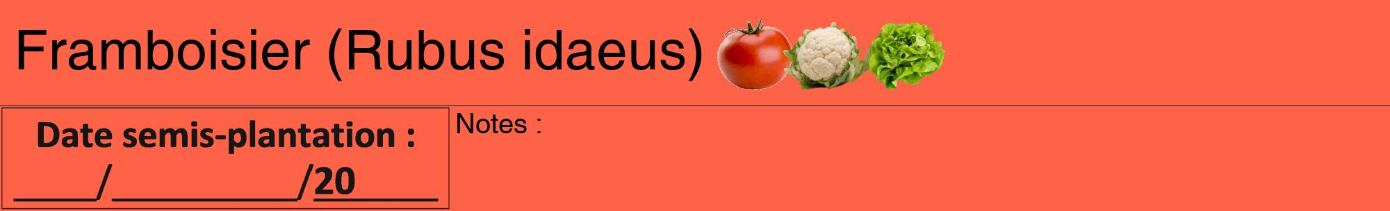 Étiquette de : Rubus idaeus - format a - style noire25hel avec comestibilité simplifiée