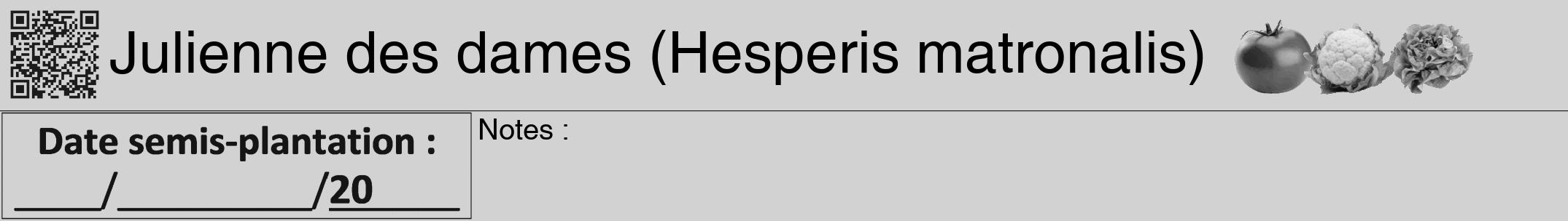 Étiquette de : Hesperis matronalis - format a - style noire14hel avec qrcode et comestibilité simplifiée