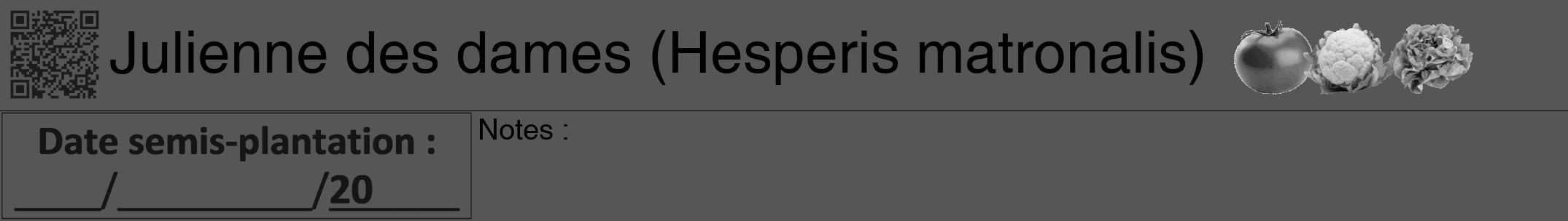 Étiquette de : Hesperis matronalis - format a - style noire45hel avec qrcode et comestibilité simplifiée