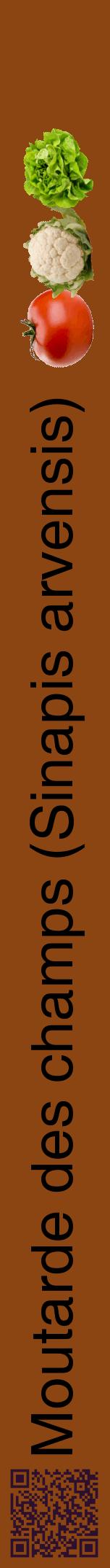 Étiquette de : Sinapis arvensis - format a - style noire30hel avec qrcode et comestibilité simplifiée