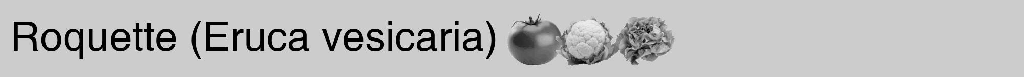 Étiquette de : Eruca vesicaria - format a - style noire0hel avec comestibilité simplifiée