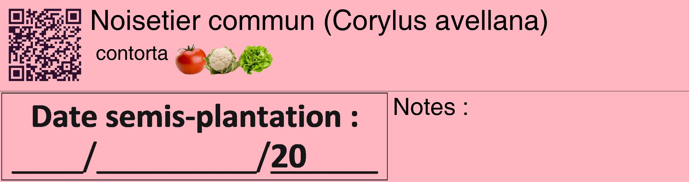 Étiquette de : Corylus avellana contorta - format c - style noire41_basique_basiquehel avec qrcode et comestibilité simplifiée