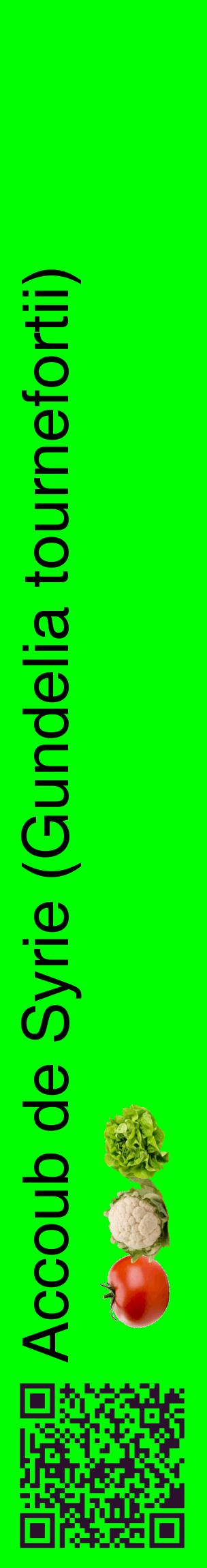 Étiquette de : Gundelia tournefortii - format c - style noire16_basiquehel avec qrcode et comestibilité simplifiée