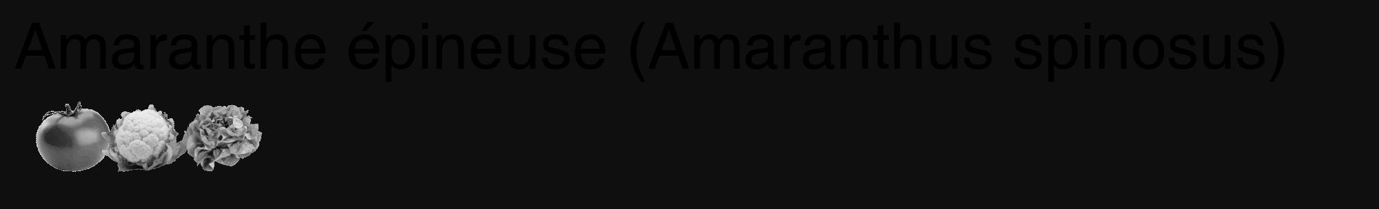 Étiquette de : Amaranthus spinosus - format c - style noire7_basique_basiquehel avec comestibilité simplifiée