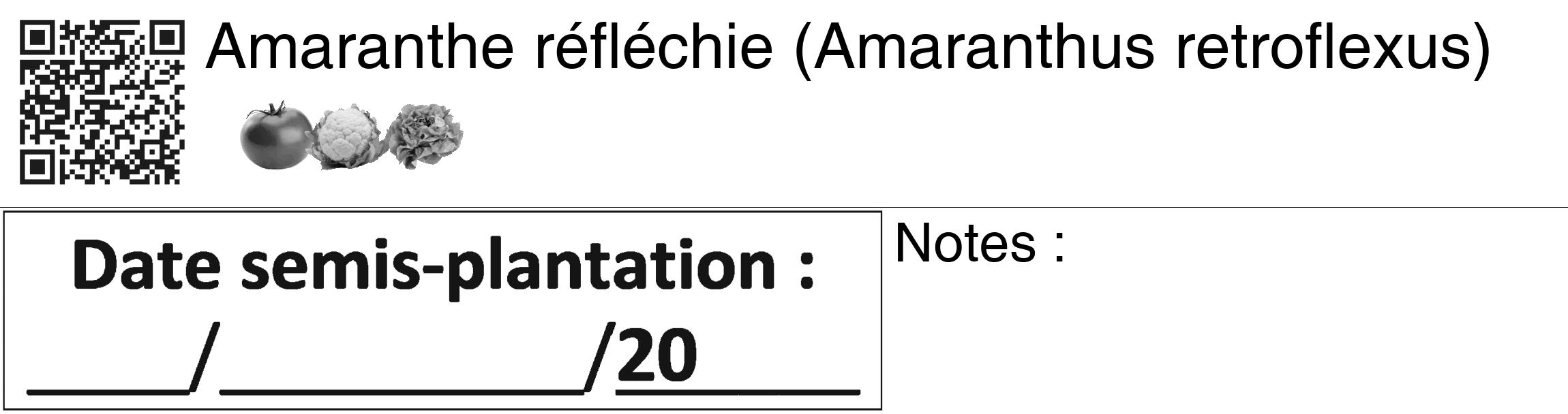 Étiquette de : Amaranthus retroflexus - format c - style noire60_basiquegrrvhel avec qrcode et comestibilité simplifiée