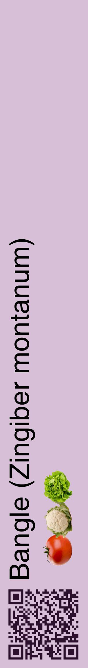 Étiquette de : Zingiber montanum - format c - style noire54_basiquehel avec qrcode et comestibilité simplifiée