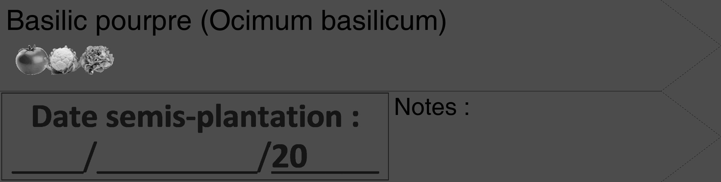 Étiquette de : Ocimum basilicum - format c - style noire27_simple_simplehel avec comestibilité simplifiée