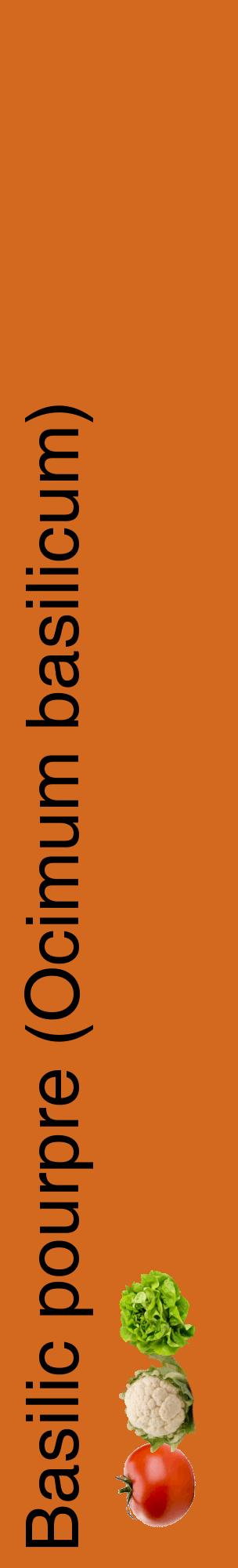 Étiquette de : Ocimum basilicum - format c - style noire31_basiquehel avec comestibilité simplifiée