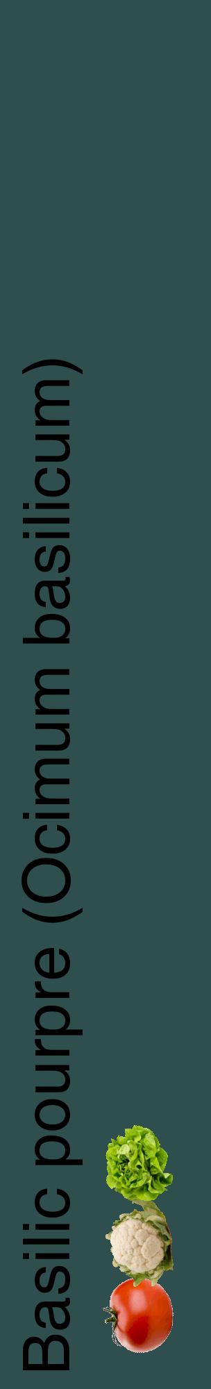 Étiquette de : Ocimum basilicum - format c - style noire58_basiquehel avec comestibilité simplifiée