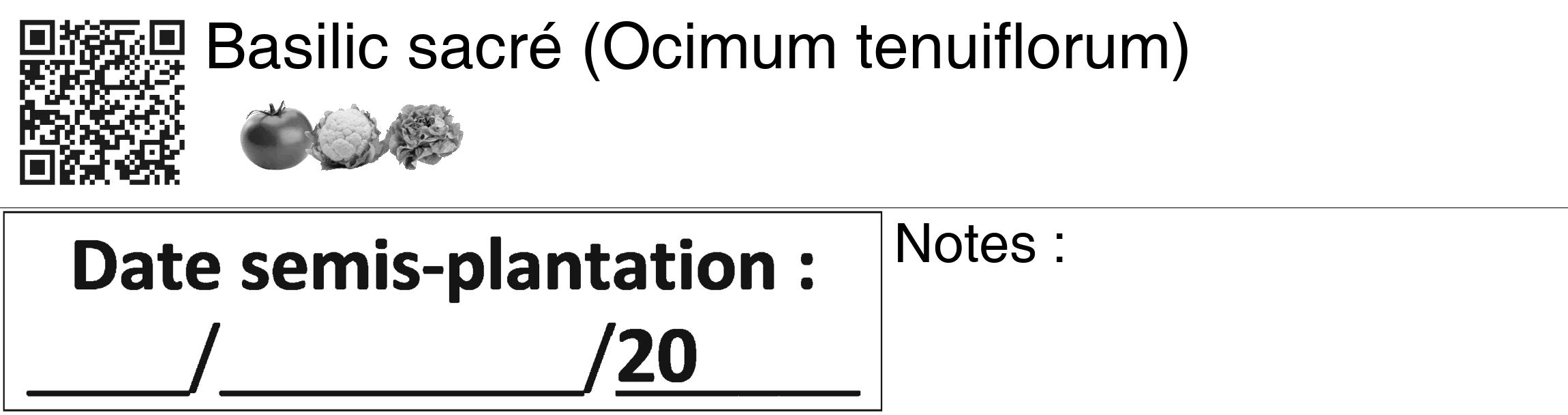 Étiquette de : Ocimum tenuiflorum - format c - style noire60_basiquegrrvhel avec qrcode et comestibilité simplifiée