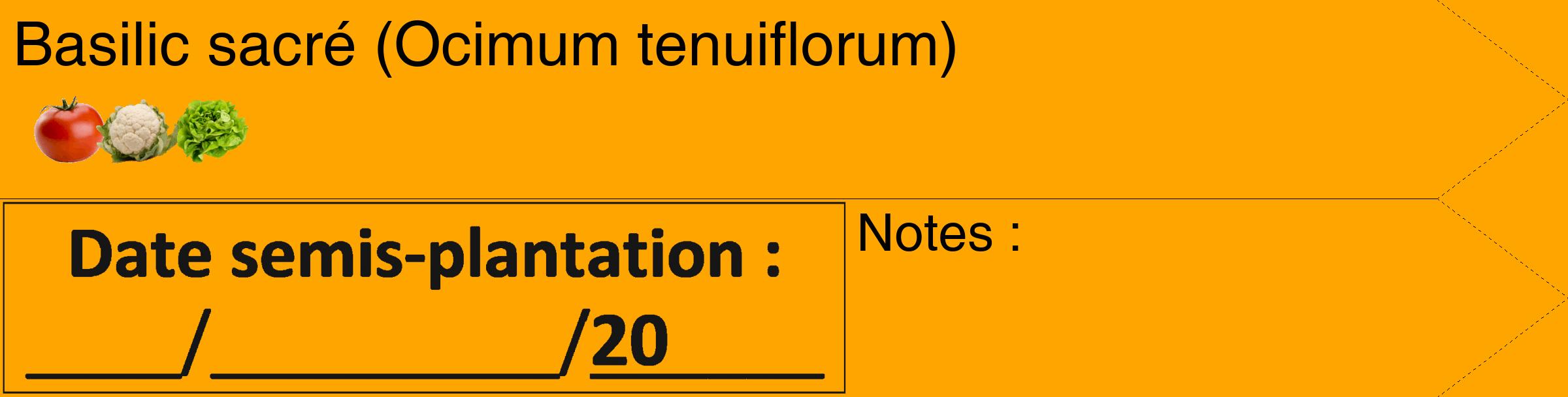 Étiquette de : Ocimum tenuiflorum - format c - style noire22_simple_simplehel avec comestibilité simplifiée
