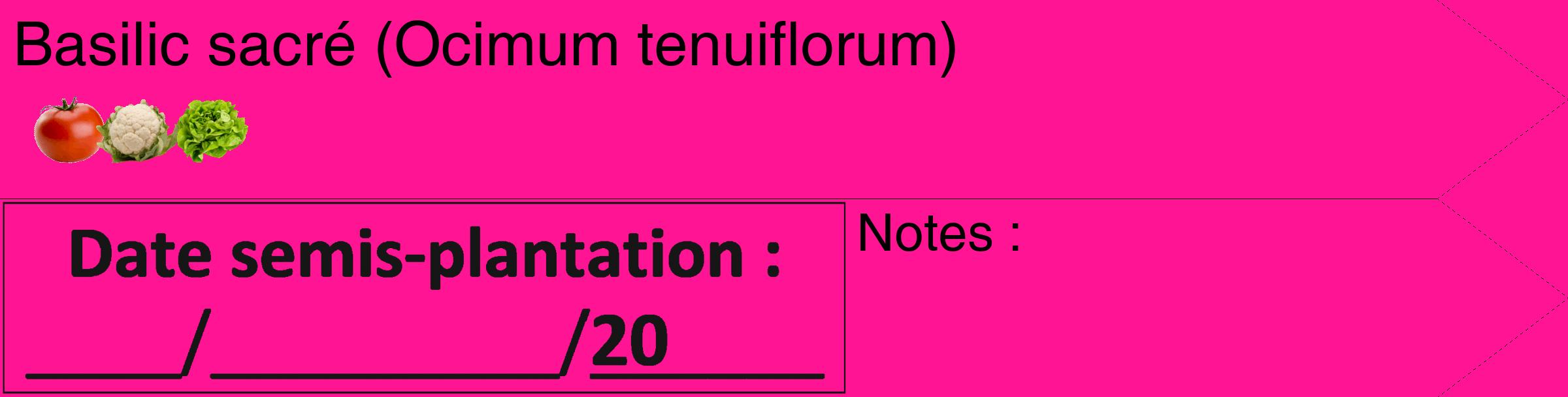 Étiquette de : Ocimum tenuiflorum - format c - style noire43_simple_simplehel avec comestibilité simplifiée