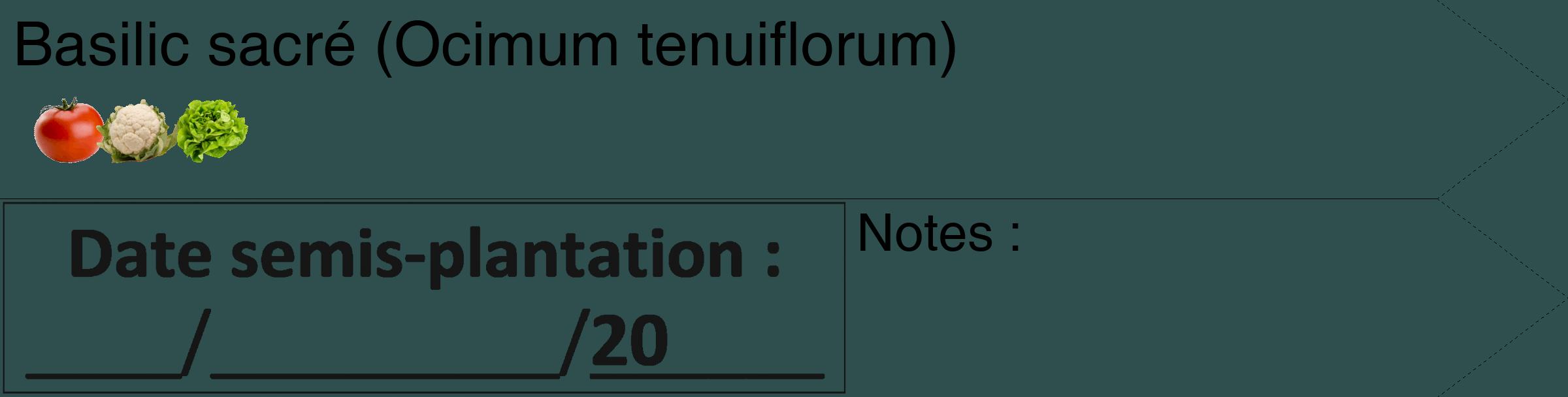 Étiquette de : Ocimum tenuiflorum - format c - style noire58_simple_simplehel avec comestibilité simplifiée