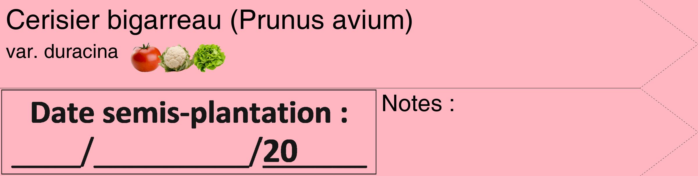 Étiquette de : Prunus avium var. duracina - format c - style noire41simple_simple_simplehel avec comestibilité simplifiée
