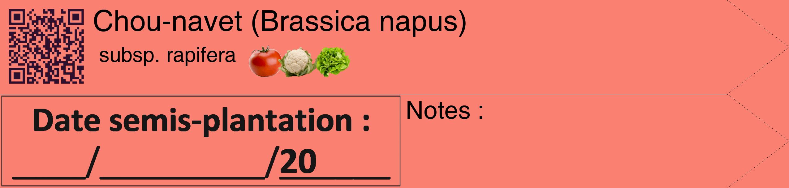 Étiquette de : Brassica napus subsp. rapifera - format c - style noire38_simple_simplehel avec qrcode et comestibilité simplifiée