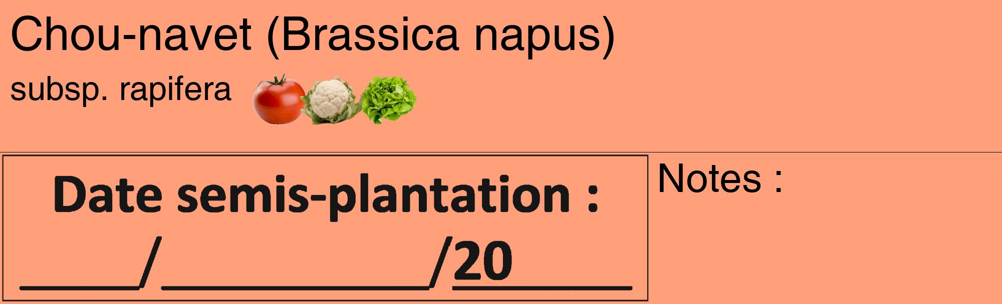 Étiquette de : Brassica napus subsp. rapifera - format c - style noire39basique_basique_basiquehel avec comestibilité simplifiée
