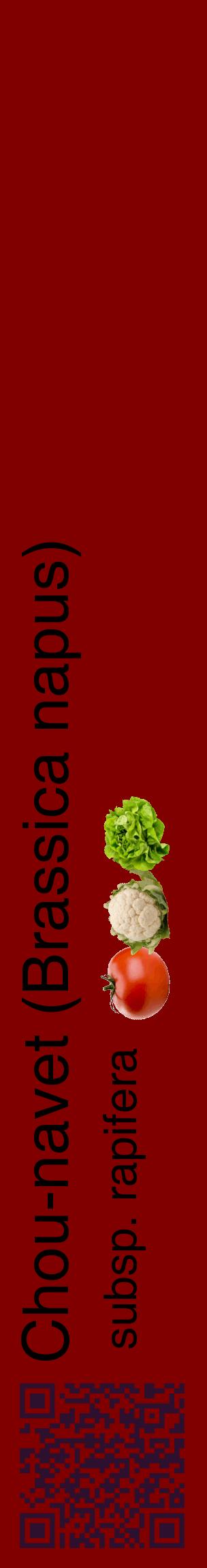 Étiquette de : Brassica napus subsp. rapifera - format c - style noire29_basiquehel avec qrcode et comestibilité simplifiée
