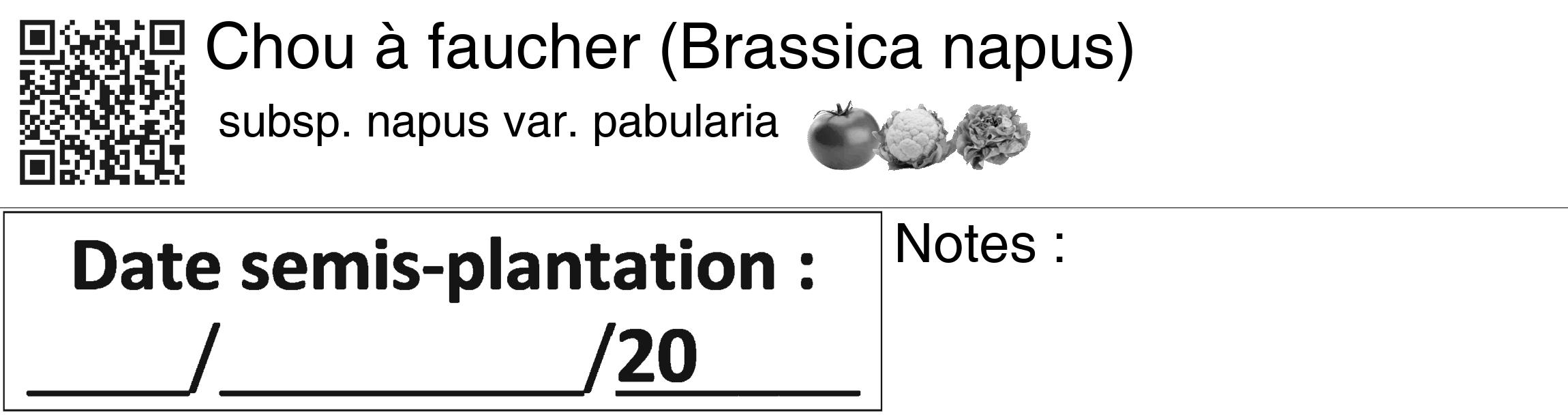 Étiquette de : Brassica napus subsp. napus var. pabularia - format c - style noire60_basiquegrrvhel avec qrcode et comestibilité simplifiée
