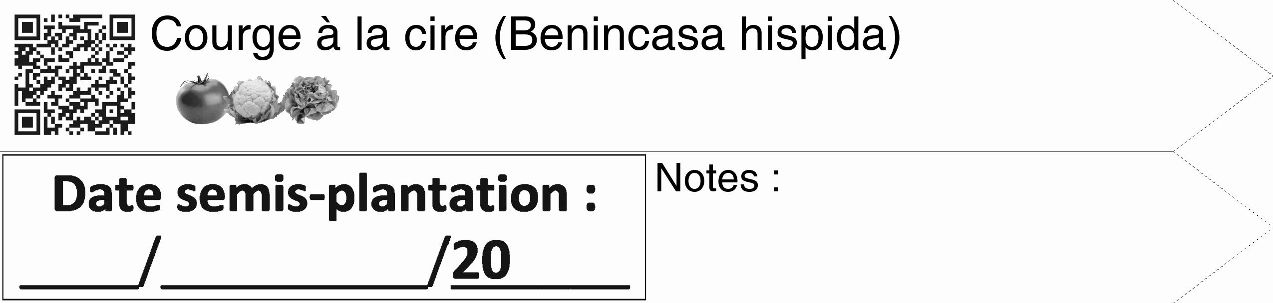 Étiquette de : Benincasa hispida - format c - style noire19_simple_simplehel avec qrcode et comestibilité simplifiée