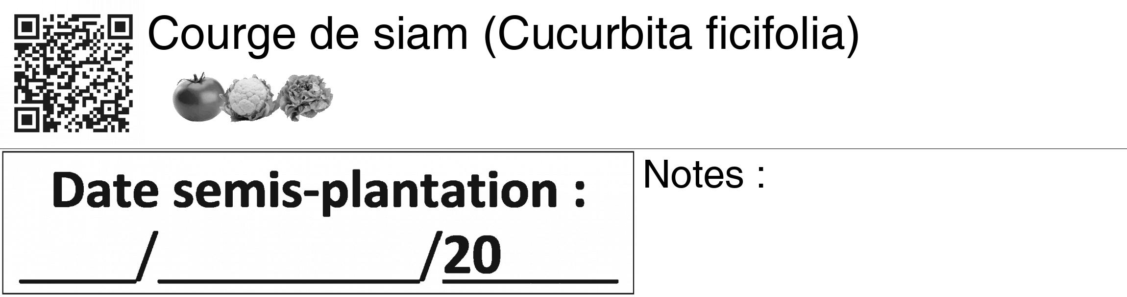 Étiquette de : Cucurbita ficifolia - format c - style noire60_basiquegrrvhel avec qrcode et comestibilité simplifiée