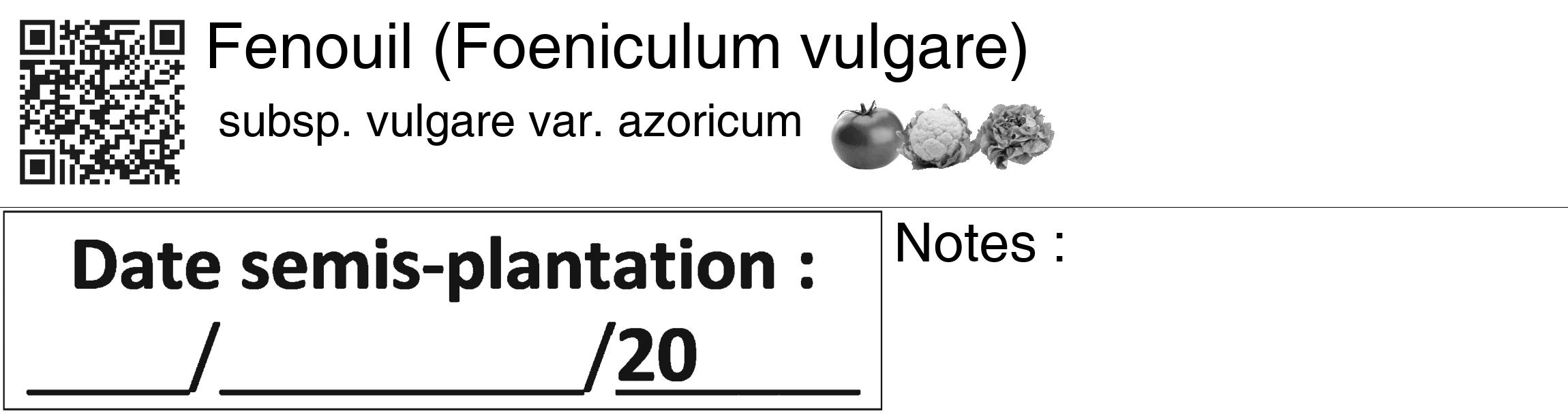 Étiquette de : Foeniculum vulgare subsp. vulgare var. azoricum - format c - style noire60_basiquegrrvhel avec qrcode et comestibilité simplifiée