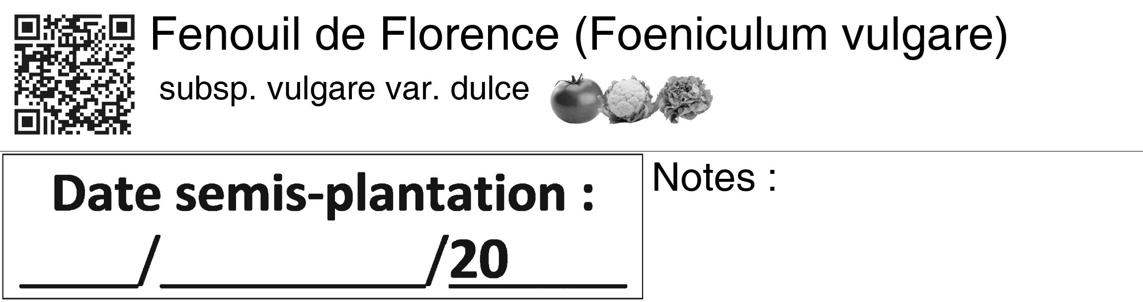 Étiquette de : Foeniculum vulgare subsp. vulgare var. dulce - format c - style noire60_basiquegrrvhel avec qrcode et comestibilité simplifiée