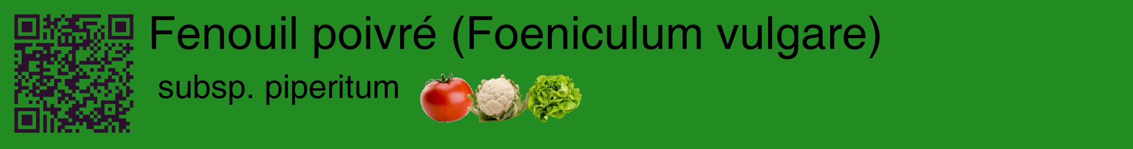Étiquette de : Foeniculum vulgare subsp. piperitum - format c - style noire10basique_basique_basiquehel avec qrcode et comestibilité simplifiée