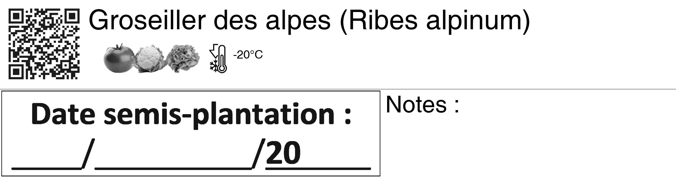 Étiquette de : Ribes alpinum - format c - style noire60_basiquegrrvhel avec qrcode et comestibilité simplifiée
