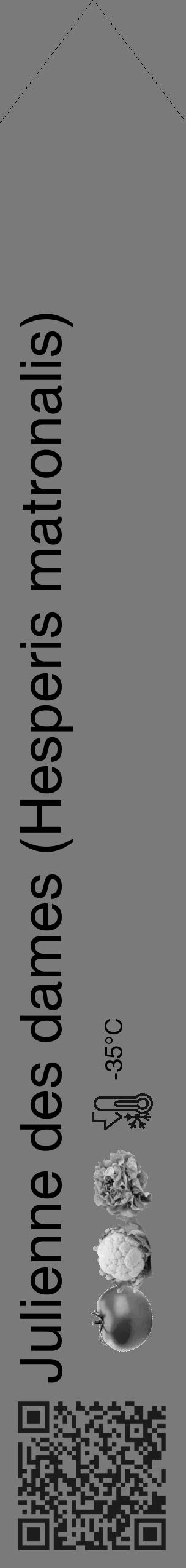 Étiquette de : Hesperis matronalis - format c - style noire3_simple_simplehel avec qrcode et comestibilité simplifiée - position verticale