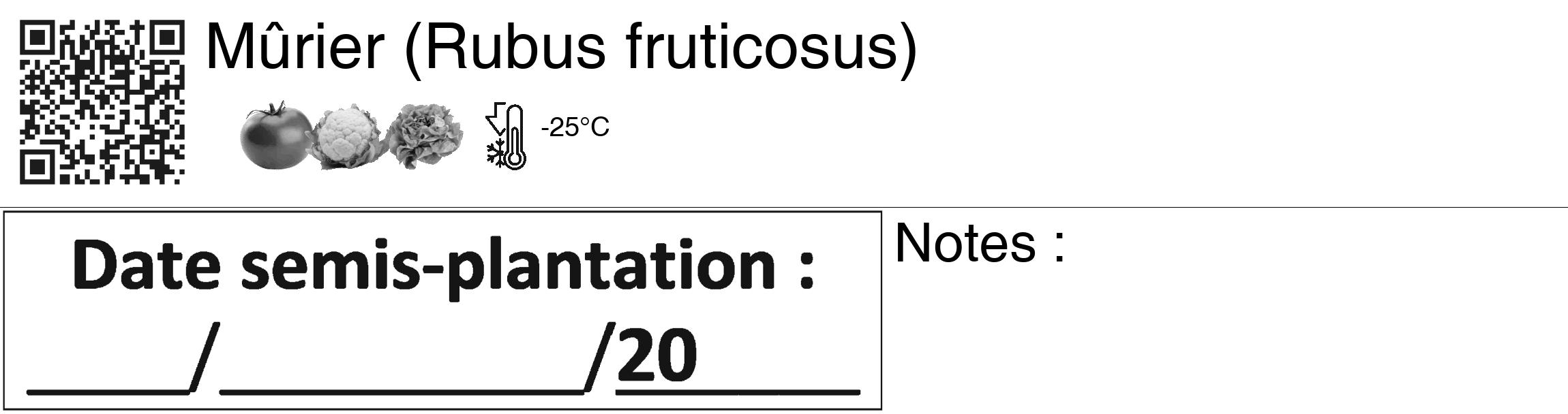 Étiquette de : Rubus fruticosus - format c - style noire60_basiquegrrvhel avec qrcode et comestibilité simplifiée