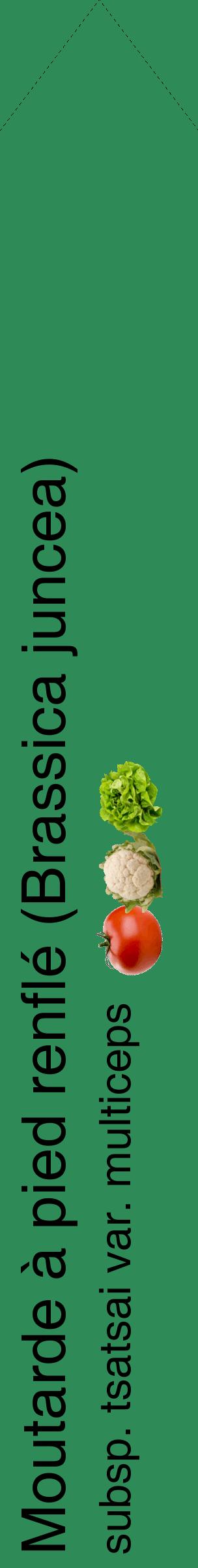 Étiquette de : Brassica juncea subsp. tsatsai var. multiceps - format c - style noire11_simplehel avec comestibilité simplifiée