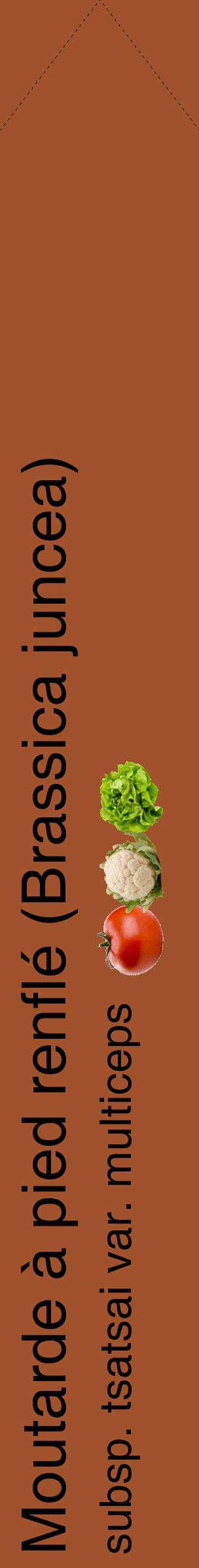 Étiquette de : Brassica juncea subsp. tsatsai var. multiceps - format c - style noire32_simplehel avec comestibilité simplifiée