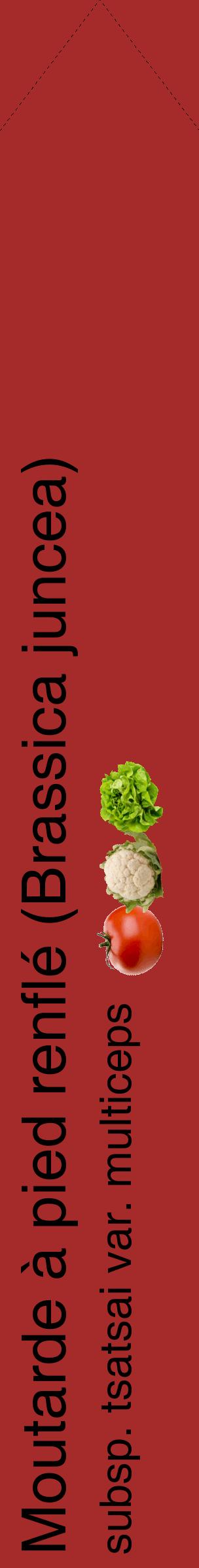 Étiquette de : Brassica juncea subsp. tsatsai var. multiceps - format c - style noire33_simplehel avec comestibilité simplifiée