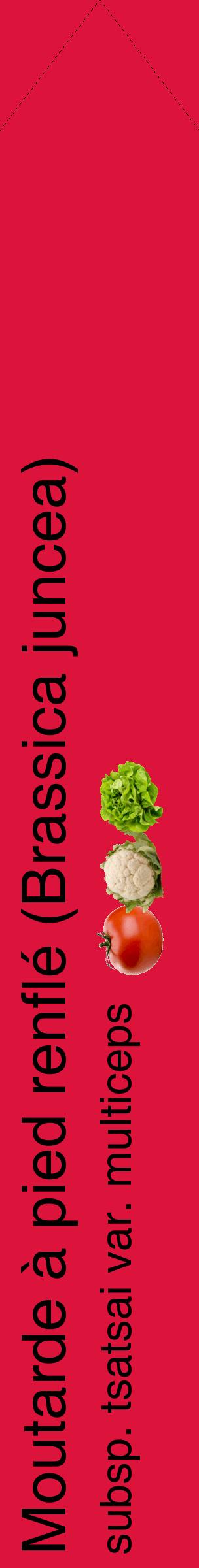 Étiquette de : Brassica juncea subsp. tsatsai var. multiceps - format c - style noire36_simplehel avec comestibilité simplifiée