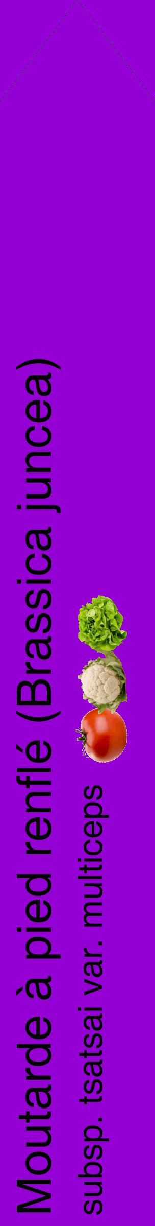 Étiquette de : Brassica juncea subsp. tsatsai var. multiceps - format c - style noire48_simplehel avec comestibilité simplifiée