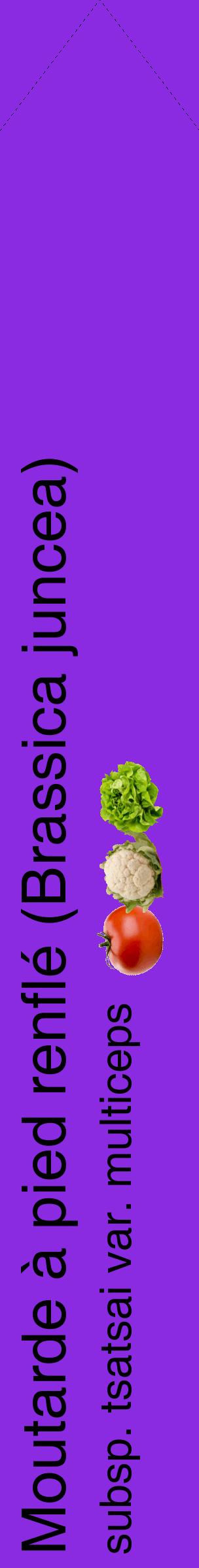 Étiquette de : Brassica juncea subsp. tsatsai var. multiceps - format c - style noire49_simplehel avec comestibilité simplifiée